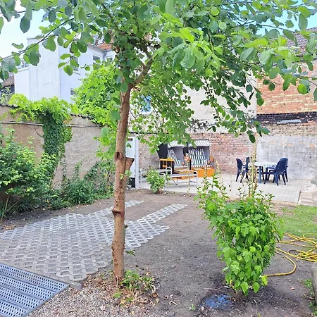 Fairmietung Nikolaiblick 2 Og Links - Abc545 * Wißmar